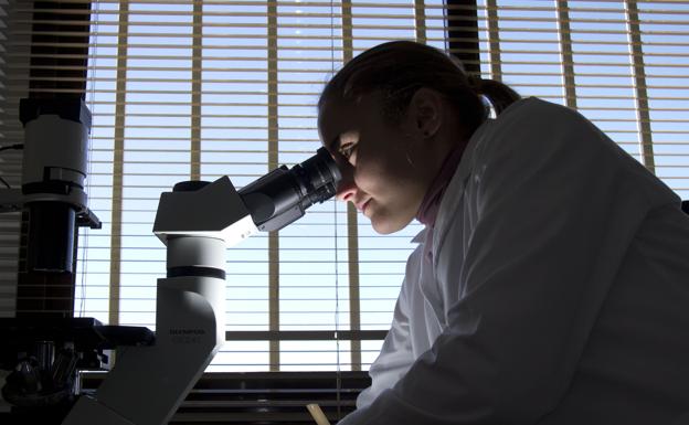 Una investigadora examina una muestra./Román Ríos