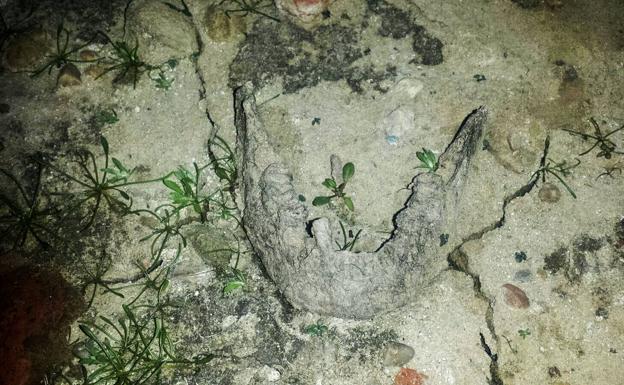 Imagen de la mandíbula que apareció el pasado 12 de octubre.