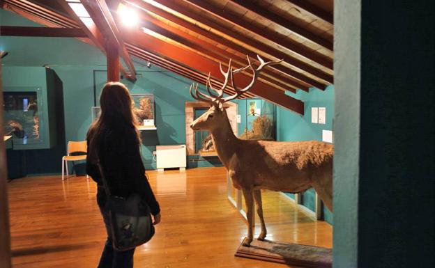 Interior de la instalación museística.