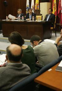 Imagen del pleno celebrado esta mañana. / M. DE LAS CUEVAS/