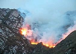 El lugar del incendio se encuentra en una vaguada de difícil acceso y de mucha pendiente. / Foto y vídeo: Pedro Álvarez/