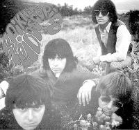 Los Negativos 'Piknik caleidoscópico' (Mushroom Pillow)/