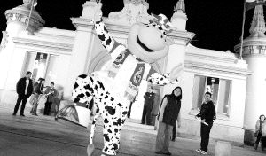 La Vaca Tula, la nueva mascota del Racing, está loca de contenta con el éxito del equipo. / DANIEL PEDRIZA/