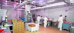 La comercialización de la carne es una de las actividades de la cooperativa cántabra. / SANE/