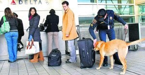 Un perro entrenado para detectar explosivos examina en los mostradores de facturación los equipajes de los viajeros de un aeropuerto de Michigan. ::
AFP/