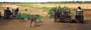 El turismo -en la imagen varios visitantes disfrutan en el parque Kruger- es uno de los motores del país. ::
NOELIA MARTÍNEZ/