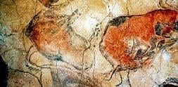 Los famosos bisontes que decoran la cúpula de la Cueva de Altamira. :: DM/