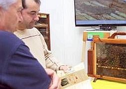Dos aficionados observan un panal de abejas que se exhibió en la Feria Apícola. :: SANE/