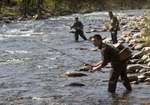 Las pocas capturas de trucha protagonizan el arranque de la temporada en Cantabria. ::
JAVIER COTERA/