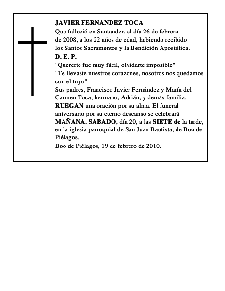 JAVIER FERNANDEZ TOCA
