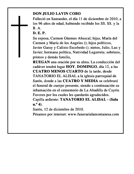 DON JULIO LAVIN COBO