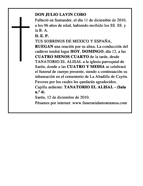 DON JULIO LAVIN COBO