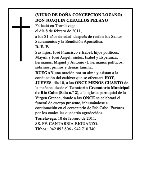 DON JOAQUIN CEBALLOS PELAYO