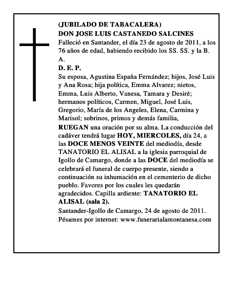 DON JOSE LUIS CASTANEDO SALCINES