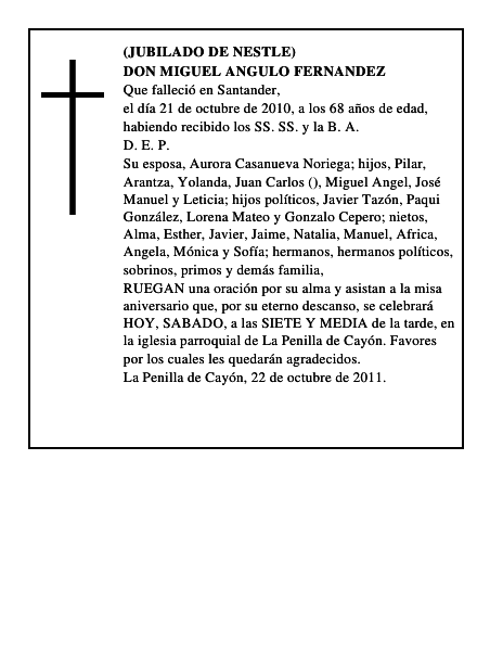 DON MIGUEL ANGULO FERNANDEZ