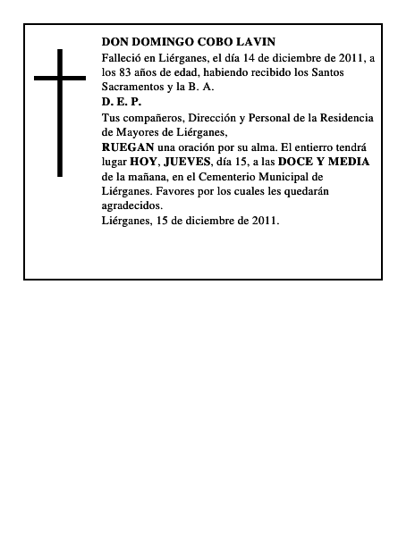 DON DOMINGO COBO LAVIN
