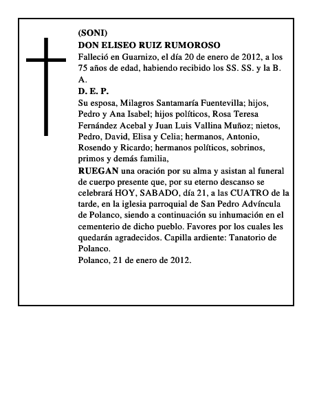 DON ELISEO RUIZ RUMOROSO