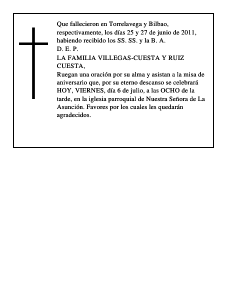 Ricardo Villegas Saiz