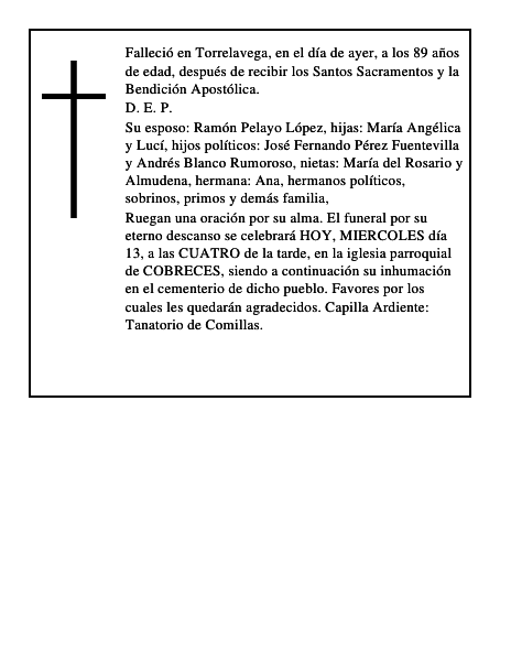 Angélica Capellán Fervenza