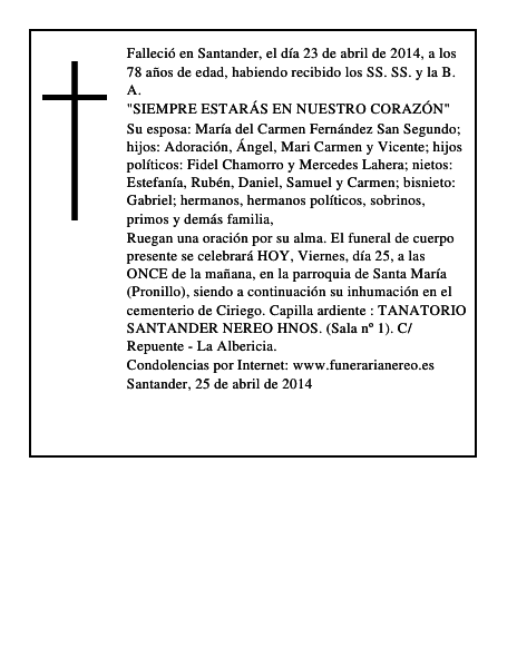 Ángel Arroyo Ramos