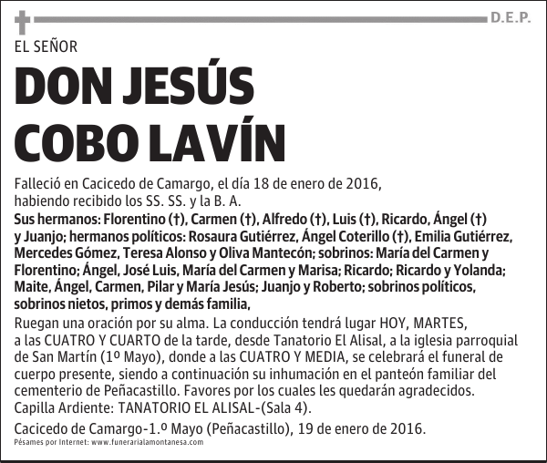 Jesús Cobo Lavín
