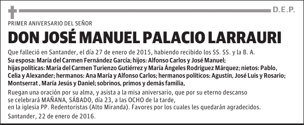 Jose Manuel Palacio Larrauri