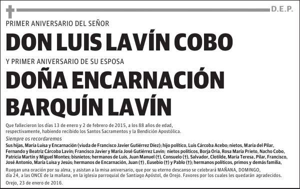 Luis Lavin Cobo