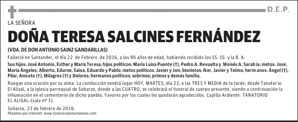 Doña Teresa Salcines Fernandez