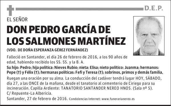 DON PEDRO GARCIA DE LOS SALMONES MARTINEZ