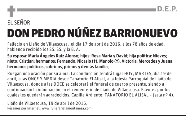 DON PEDRO NÚÑEZ BARRIONUEVO