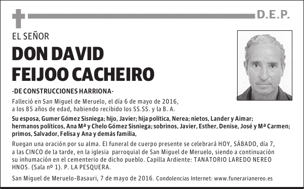 DON DAVID FEIJOO CACHEIRO