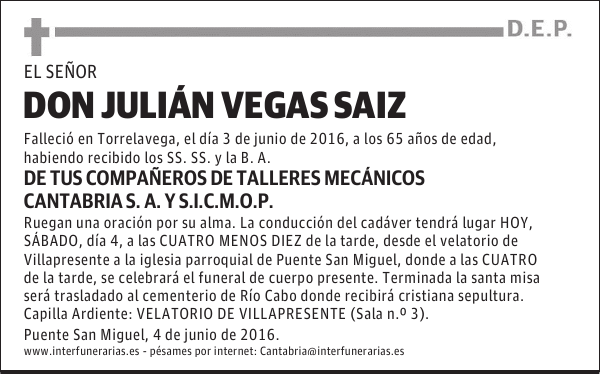 D. JULIÁN VEGAS SAIZ