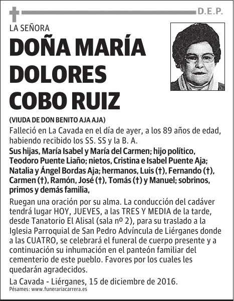 DOÑA MARÍA DOLORES COBO RUIZ