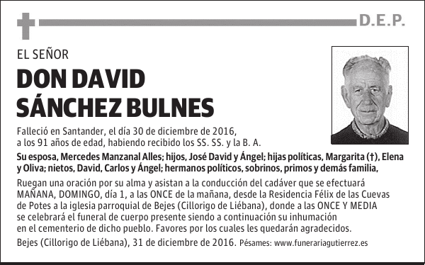 DON DAVID SANCHEZ BULNES