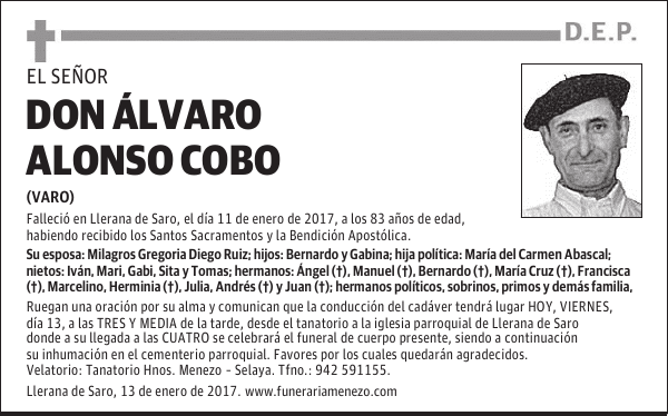 Don Álvaro Alonso Cobo