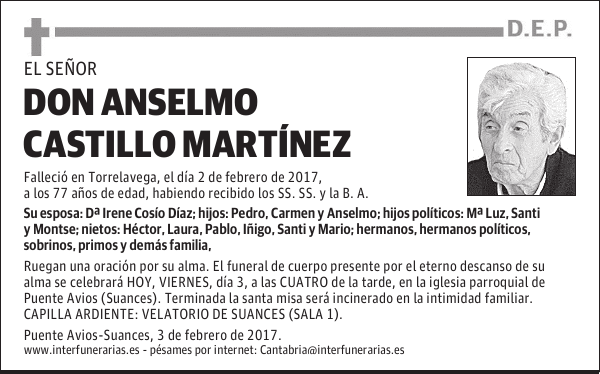 D. ANSELMO CASTILLO MARTÍNEZ