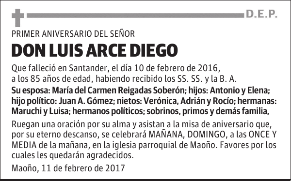 Luis Arce Diego