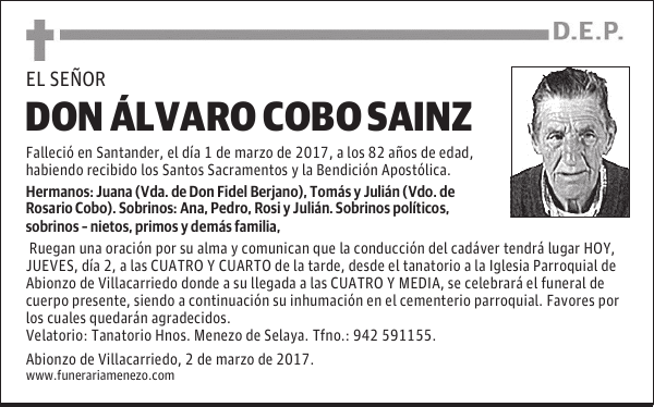 Don Álvaro Cobo Sainz