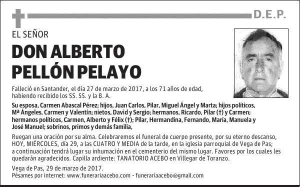 D. Alberto Pellón Pelayo
