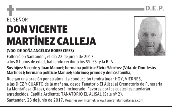 DON VICENTE MARTÍNEZ CALLEJA