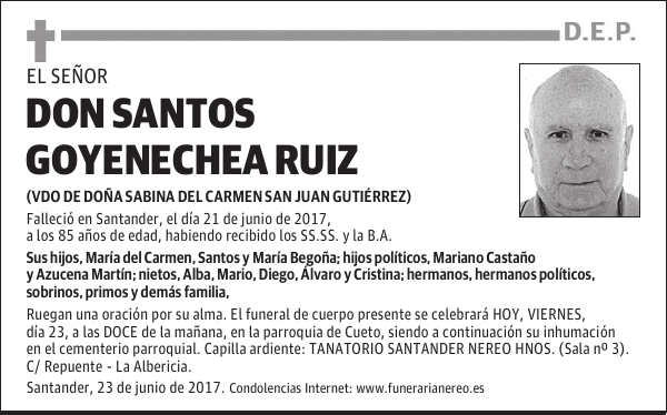 DON SANTOS GOYENECHEA RUIZ