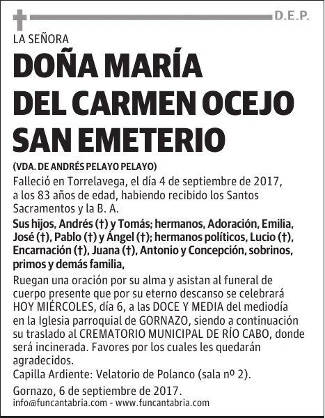 DOÑA Mª DEL CARMEN OCEJO SAN EMETERIO
