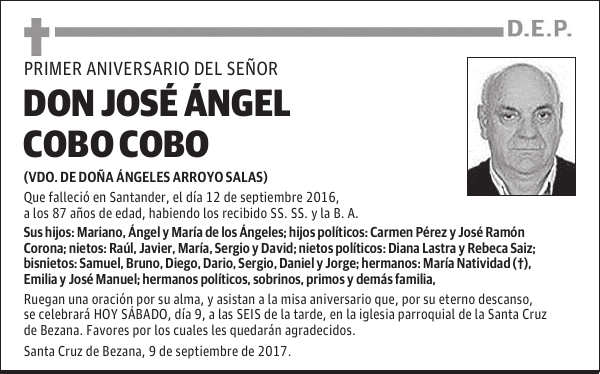 DON JOSÉ ÁNGEL COBO COBO