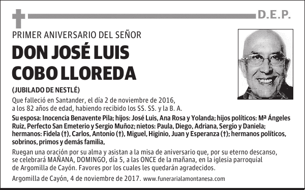 DON JOSE LUIS COBO LLOREDA
