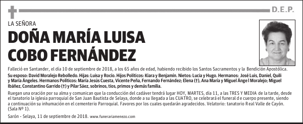 DOÑA MARÍA LUISA COBO FERNÁNDEZ