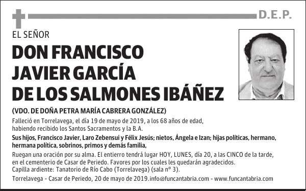 DON FRANCISCO JAVIER GARCÍA DE LOS SALMONES IBÁÑEZ