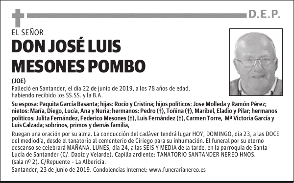 DON JOSÉ LUIS MESONES POMBO
