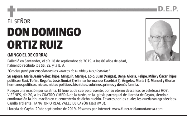 DON DOMINGO ORTIZ RUIZ