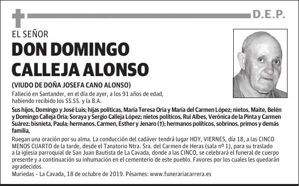 DON DOMINGO CALLEJA ALONSO