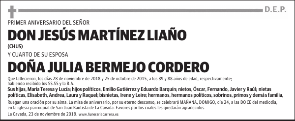 DON JESÚS MARTÍNEZ LIAÑO